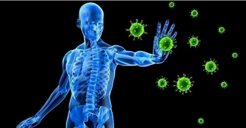 Bağışıklık Sistemi Nedir? Nasıl Güçlendirilir?